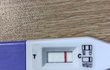 제발 임테기 ㅜㅜ