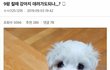 헌팅포차에서 만나서 사귀는 거 오바임?