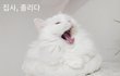 오늘의 톡
