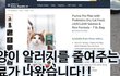 고양이 알레르기를 위한 사료가나온데