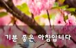 기분 좋은 아침입니다~