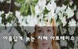 아름답게 늙는 지혜 아르테미스~