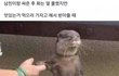 화장처음해보는데 아무것도 모르겠어