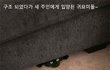 다시 웃음을 되찾은 귀요미들