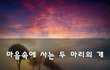 마음속에 사는 두 마리의 개~