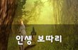 인생 보따리~