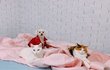저희 강아지와 고양이 좀 자랑하고싶어요!