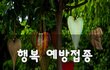 행복 예방접종~