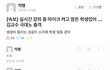 곳곳에서 일어나는 싸강 대참사