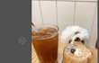 과대 뽑는데 지원할까? ㅋㅋ