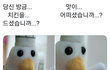 앗싸 낼 집에 아무도 없음