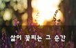 삶이 꽃피는 그 순간~