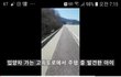 고속도로에서 구조한 아이