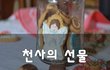 천사의 선물~