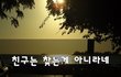 친구는 찾는게 아니라네~