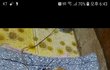 임시보호처가 되어주세요
