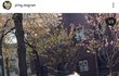 프링이랑 평화로운 일상 세번째