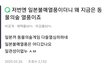 애들아 들어와줘 동물의숲 불매해야함