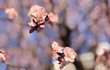 오늘의 톡