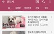 강아지 길에서 유기구조한척 조작영상찍고 선동해서 후원받고있는 유튜버
