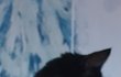 으르신은 이제 한글만 배우시면되는듯....ㅠㅠ