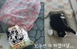 바라본다는건...