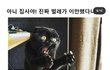 근데 빅뱅이라는 그룹은 진짜