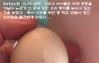 금이 간 오리알의 기적