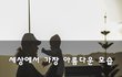세상에서 가장 아름다운 모습~