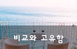 비교와 고유함~
