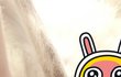 고양이 피부, 털이 이럴수 있어요??