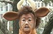 이거 고딩만 추반해봐