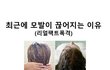 최근에 모발이 끊어지는 이유 !!