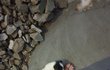 벅구2
