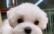 오늘의 톡