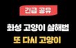 상습 고양이 살해범이 또 다시 입양 시도 중 이라고합니다