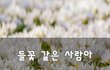 들꽃 같은 사람아~