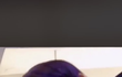 오늘 엔시티 드림 브이앱