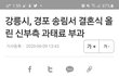 강릉 소나무 숲에서 야외결혼식이라니....