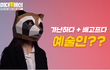 배고프다던 예술인들 실제 월급