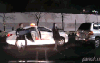 여자들의 이해안되는 행동 갑.gif