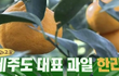 엔터톡