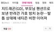 지드래곤 반려견 반려묘 유기 방치 논란.. 마약을 했어도 쉴드쳤었는데 이건 도저히 쉴드칠수가 없다