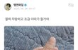 역대급 팬사랑 6년차 아이돌