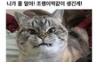 결혼은 둘중 어떤사람과..ㅠ
