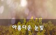 아름다운 눈빛~