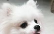 오늘의 톡