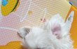 오늘의 톡
