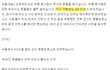 "안락사 그만하고 싶어요"