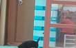 해달이의 성장기